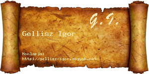 Gellisz Igor névjegykártya